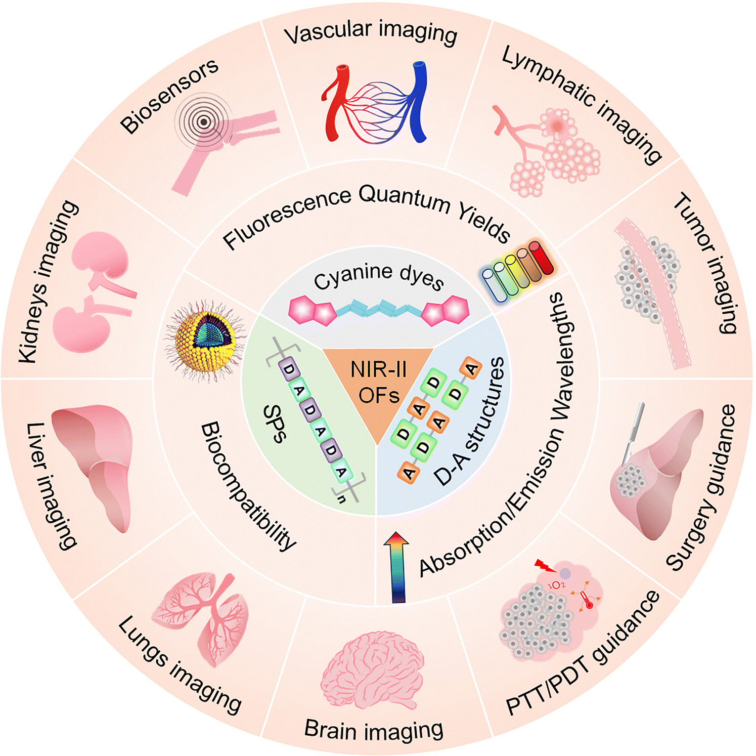 Construction and optimization of organic fluorophores in NIR-II