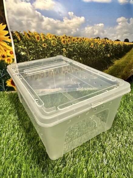 ハリネズミご機嫌飼育セット | ピュアアニマル