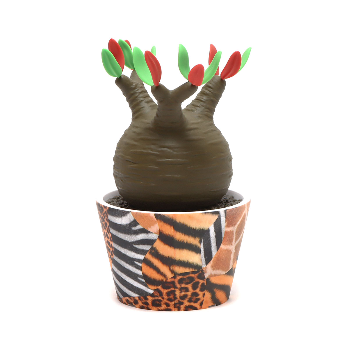 枯れない塊根植物のプランツフィギュア。アトモスとプランツショップ