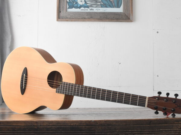 aNueNue Bird Guitar aNN-M1 | Quiet Village