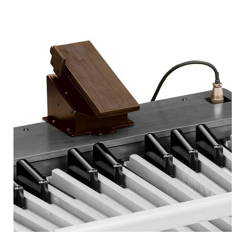 楽天市場】ヤマハ ヤマハ エレクトーン用補助ペダル鍵盤 PK-2 | 価格