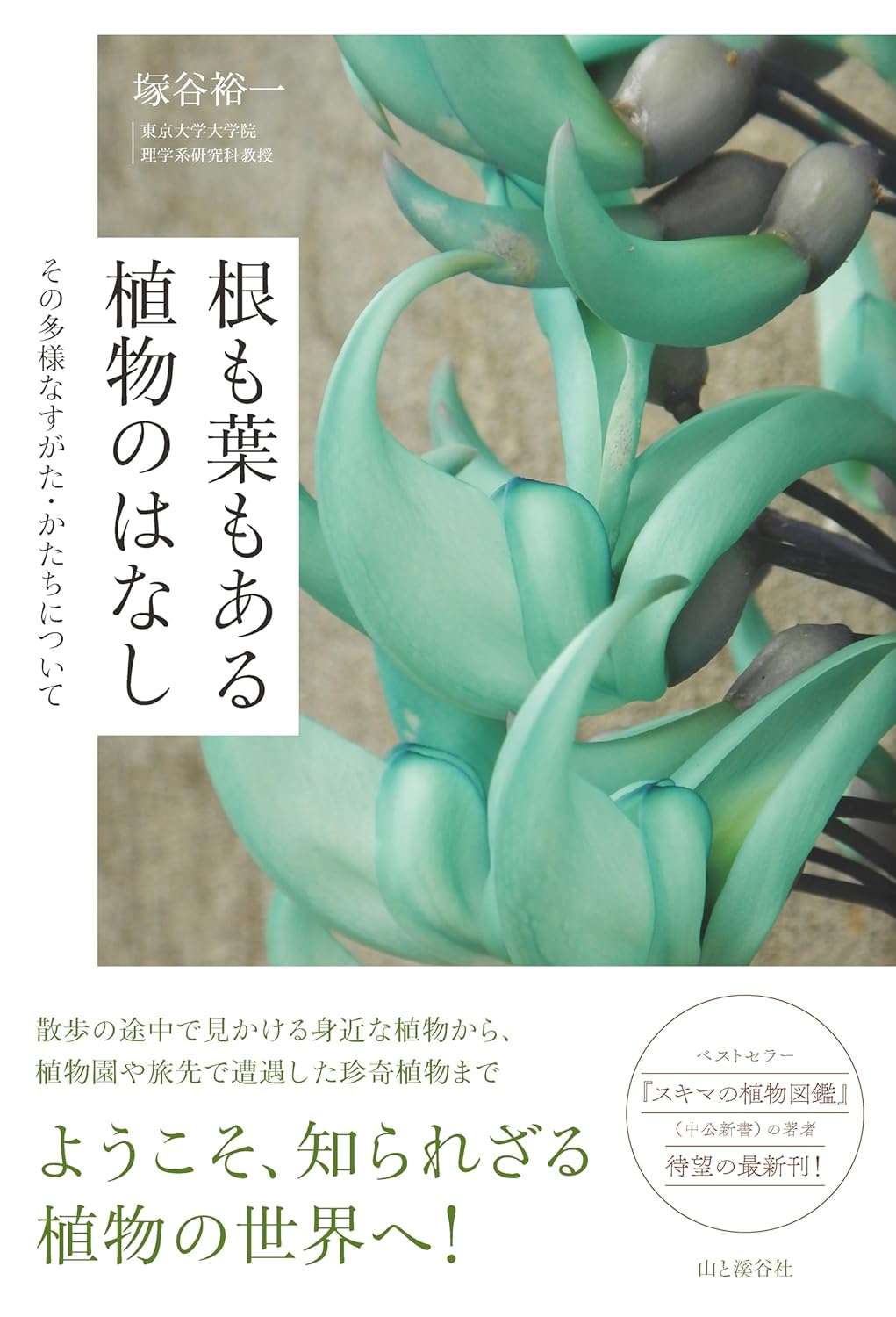 楽天市場】日本緑化センター 最新・樹木医の手引き 改訂4版/日本緑化