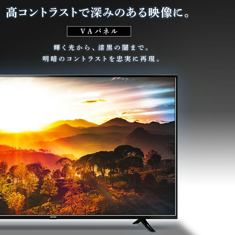 アイリスオーヤマ32WB10P 32型液晶テレビ 本体 2020年製 IRIS OHYAMA