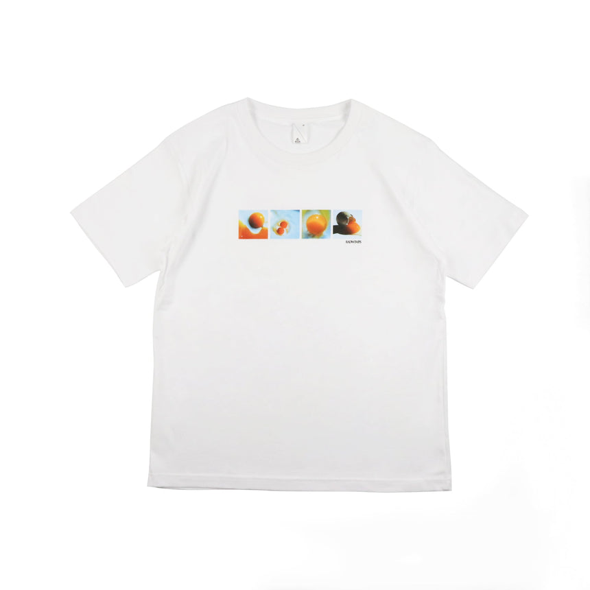 会場引換／11月24日】RADWIMPS 20th ANNIVERSARY LIVE TOUR – RADWIMPS