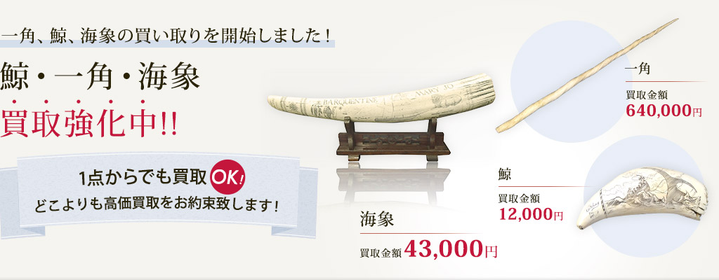 鯨・一角・海象・象牙の買取について - 買取のラフテル