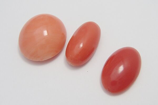 ピンク（桃）珊瑚 買取強化中！！ - 買取のラフテル