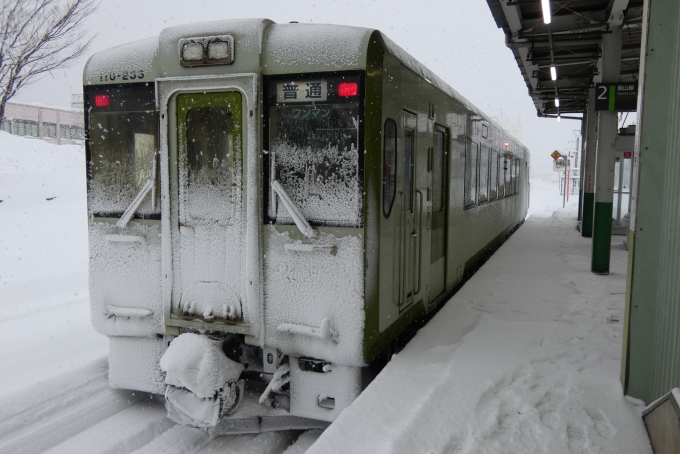 JR東日本 キハ110-233 (キハ100・110系) 車両ガイド | レイルラボ(RailLab)