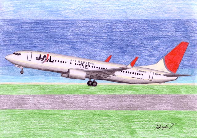 JAL B737-800