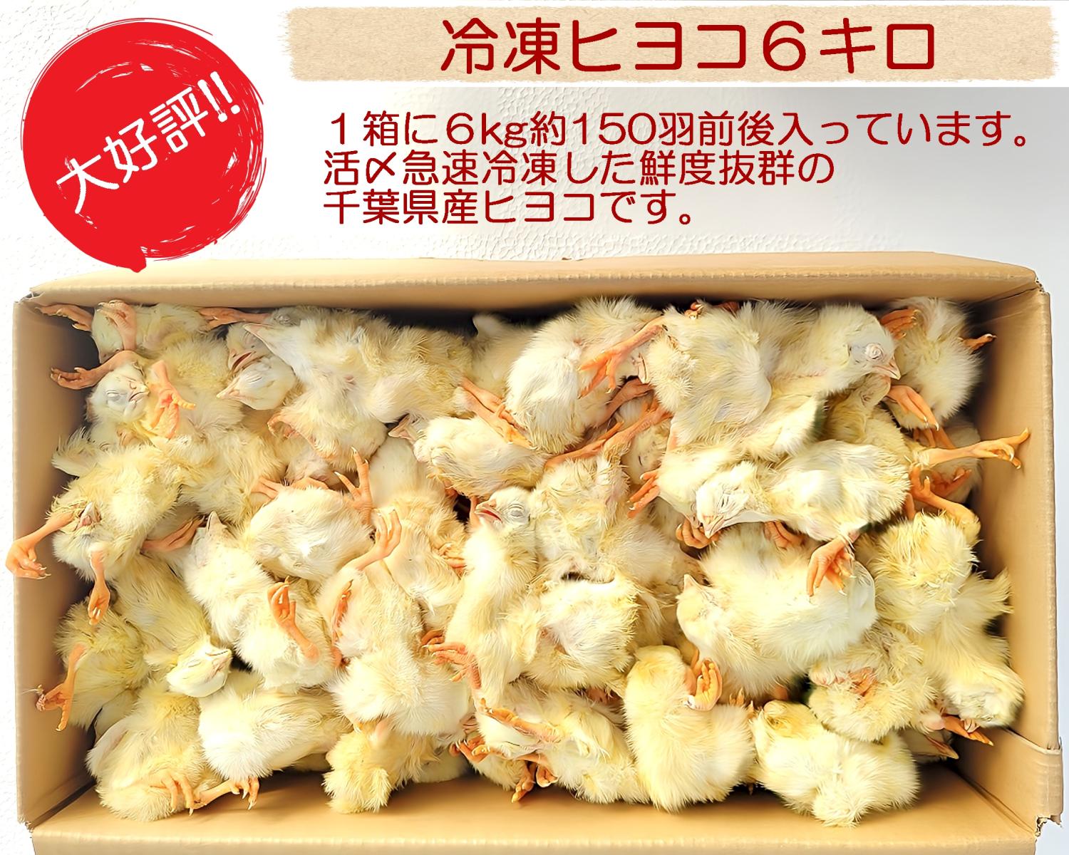 リピート購入、複数購入で＋10羽 送料無料 国産 新鮮安全 冷凍ひよこ 300羽 リピート購入、複数購入で＋10羽 送料無料 国産 新鮮安全 冷凍ひよこ