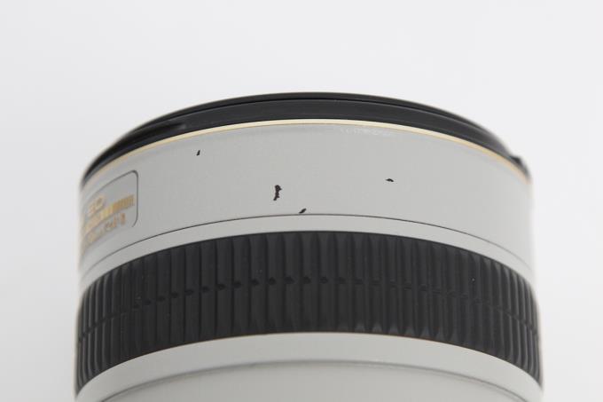 Ai AF-S Zoom Nikkor ED 28-70mm F2.8D(IF) (ライトグレー) E402-2R4A