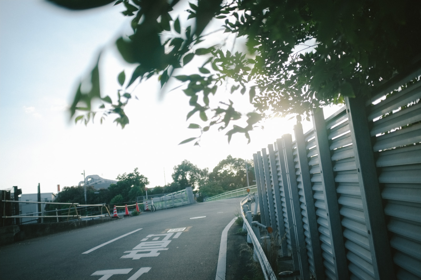 FUJIFILM X100 レビュー | RECO