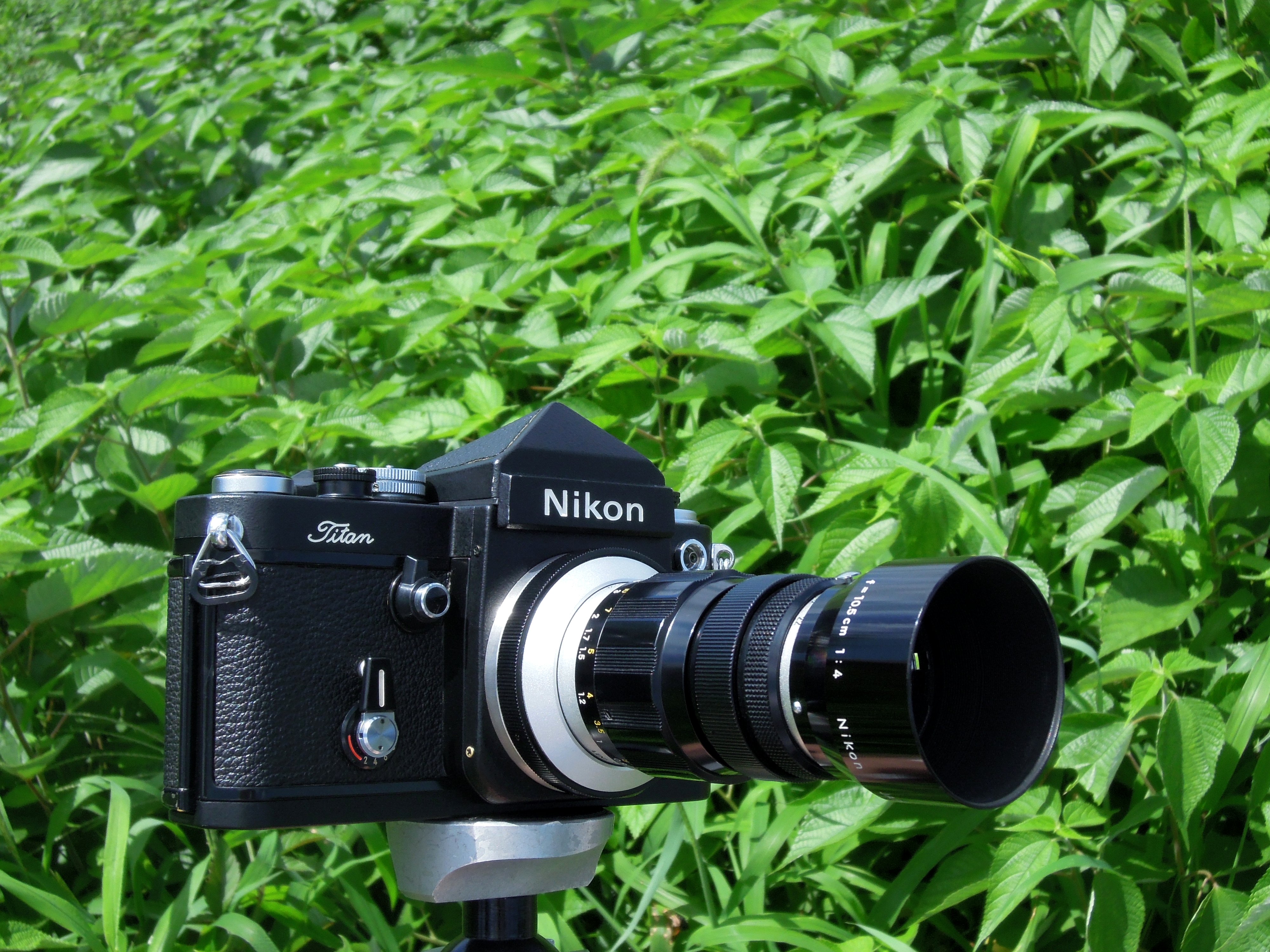 動作確認済】 Nikon F4 F1010-65-7v p 動作確認済】 Nikon F4 F1010-65-