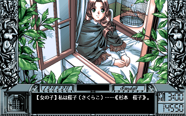 PC98 | ファンタジーIII ニカデモスの怒り