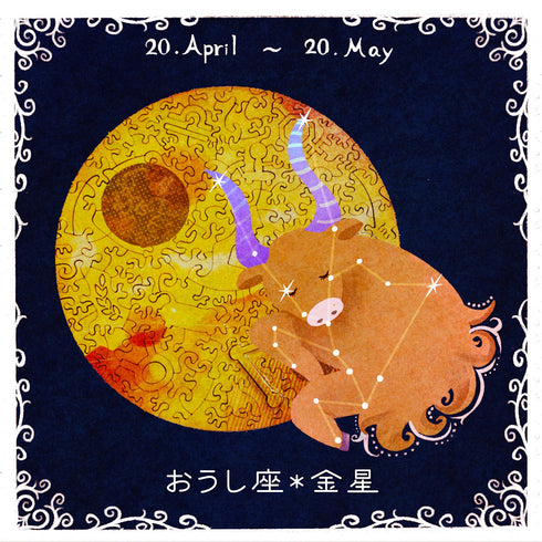 6月入庫分予約】宇宙の破片 VENUS 金星と専用フレームセット – ご褒美