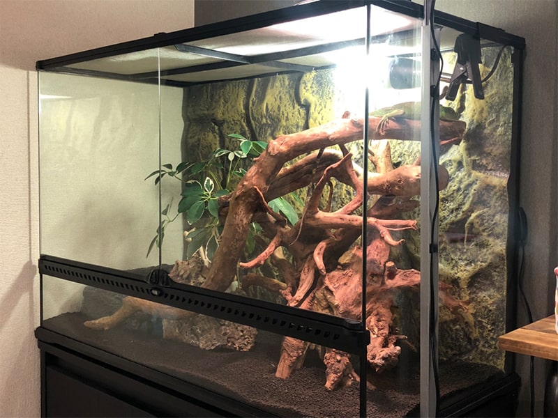 群馬県引取限定】エキゾテラ グラステラリウム3045×2台/4545×1台 群馬
