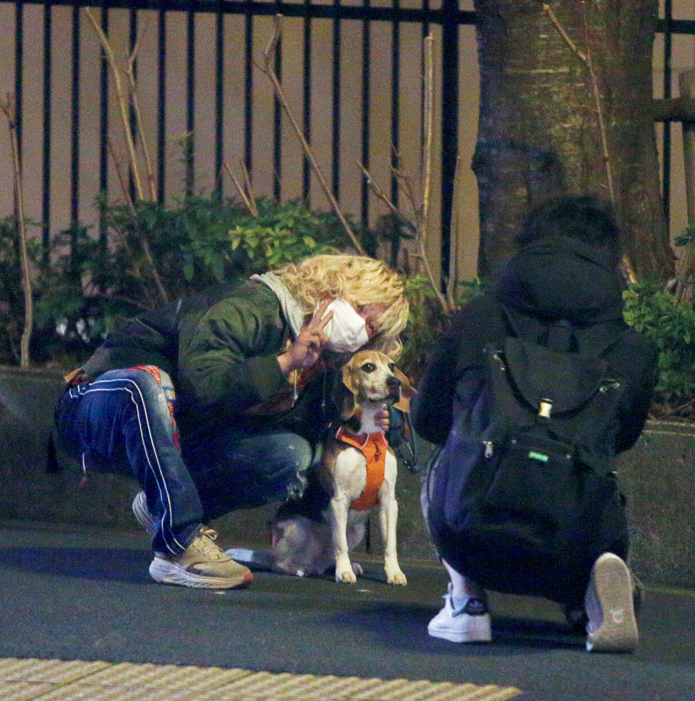 A.B.C-Z塚田僚一「夜の愛犬散歩で気軽に撮影会」の優しさ | FRIDAYデジタル