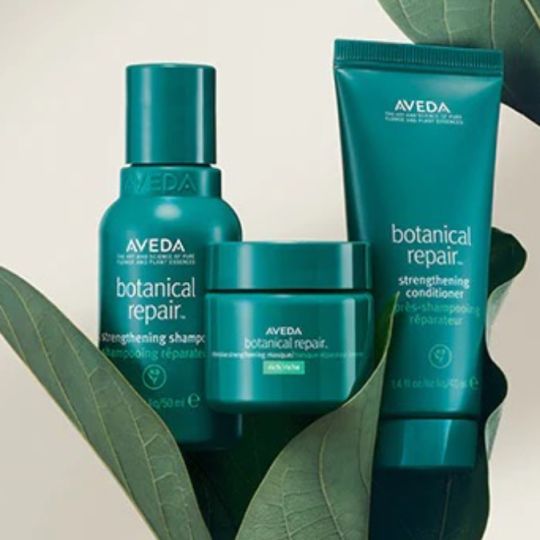 Shop Botanical Repair | Mary Rogers