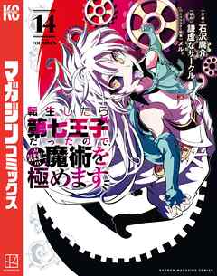 転生したら第七王子だったので、気ままに魔術を極めます（14