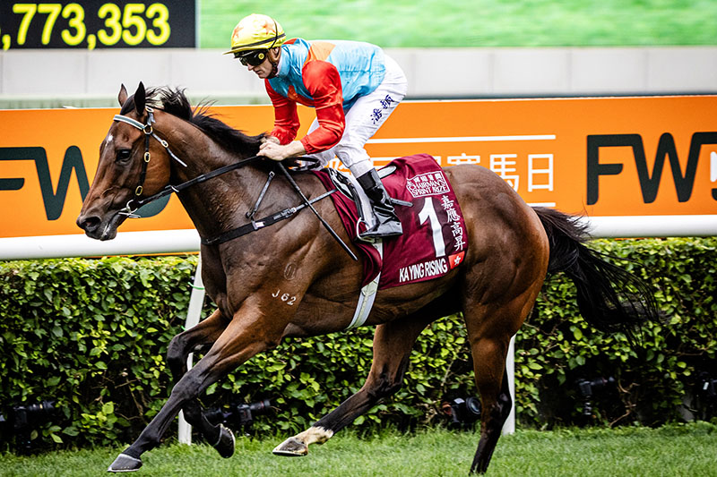 Home - FWD Champions Day 2025 - The Hong Kong Jockey Club