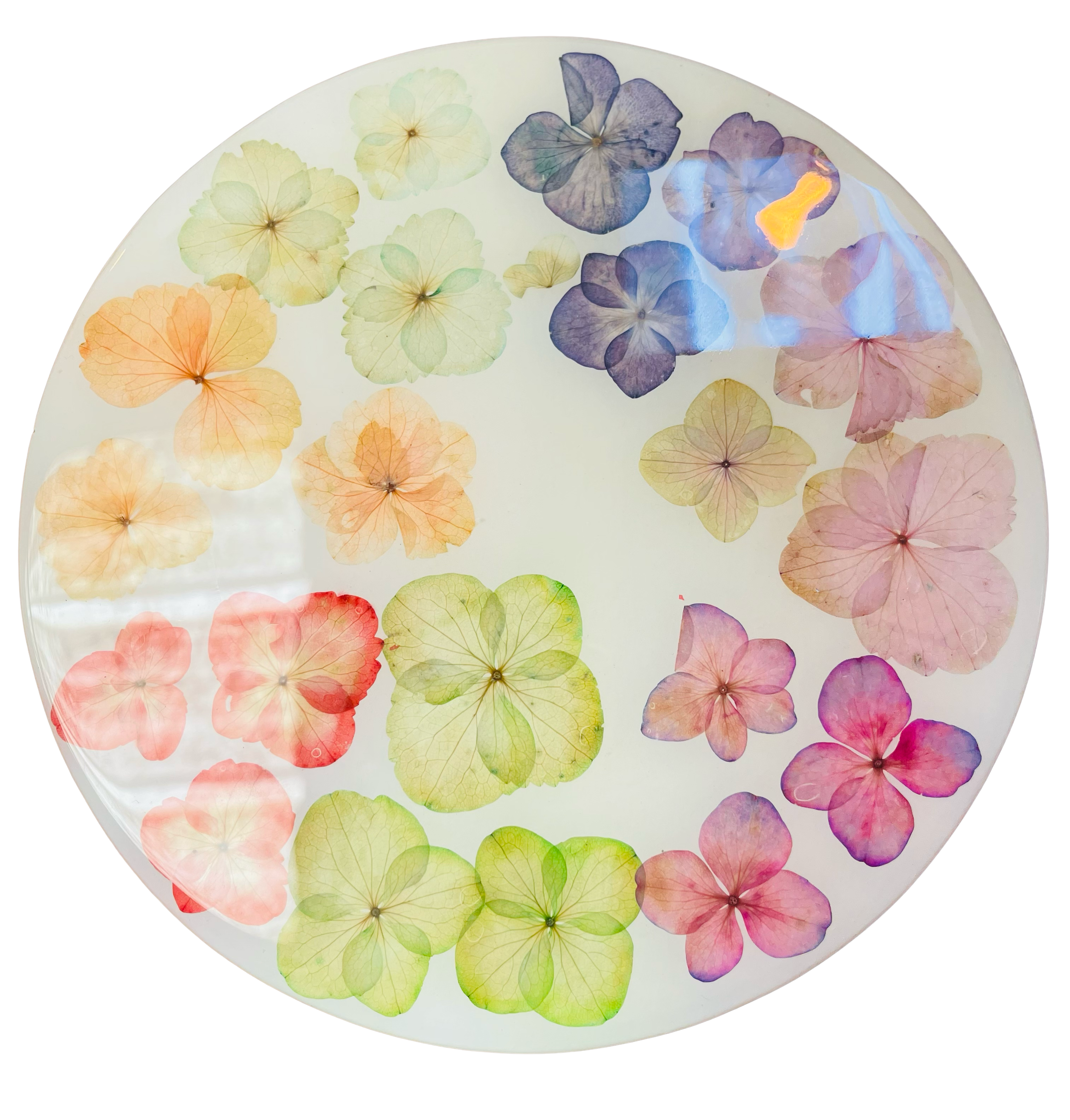 image_97fbf82e-0ac5-48e0-914e-