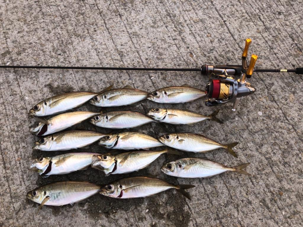 がまかつ ラグゼ 宵姫 爽 S58FL-solid / ライトSWロッド アジング