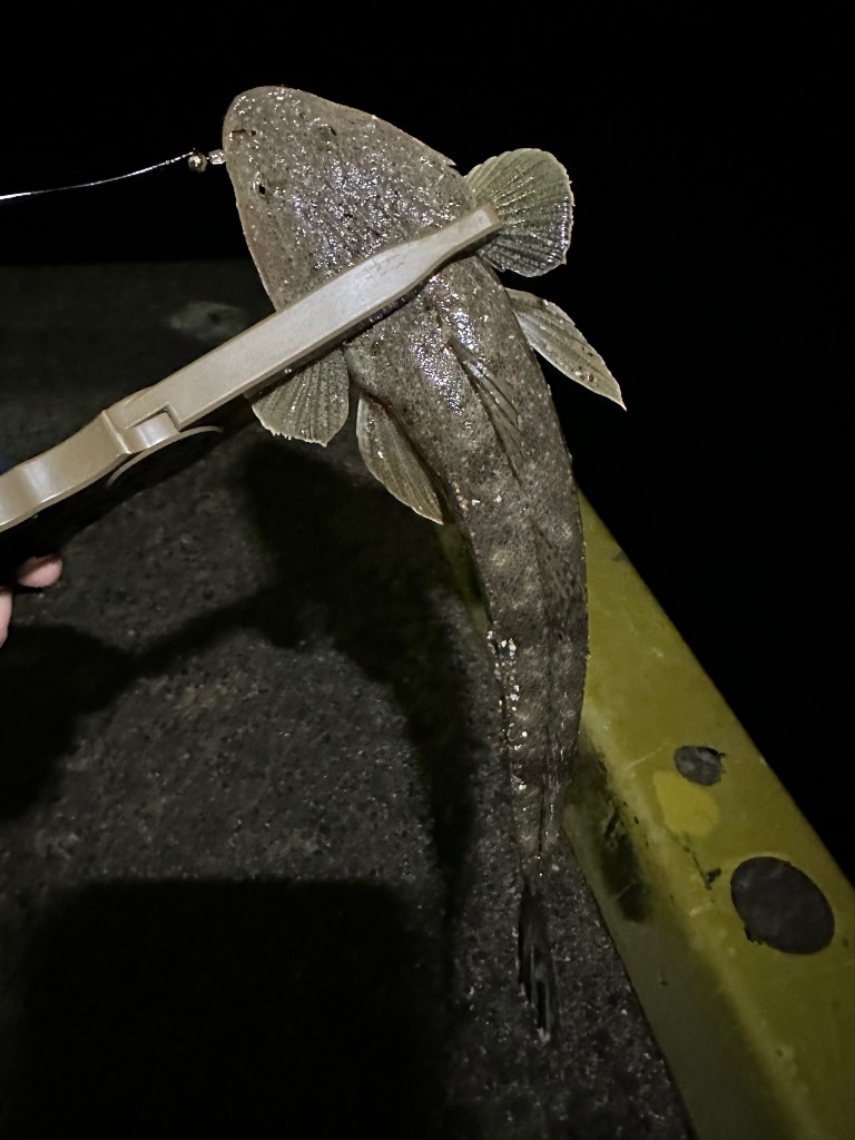 Gamakatsu（がまかつ） ラグゼ 宵姫 華弐 S64L-solid : 釣具のFTO