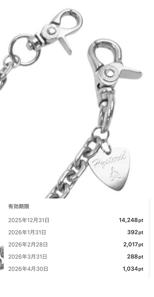 HYSTERIC GLAMOUR（ヒステリックグラマー） ウォレットチェーン WOMAN