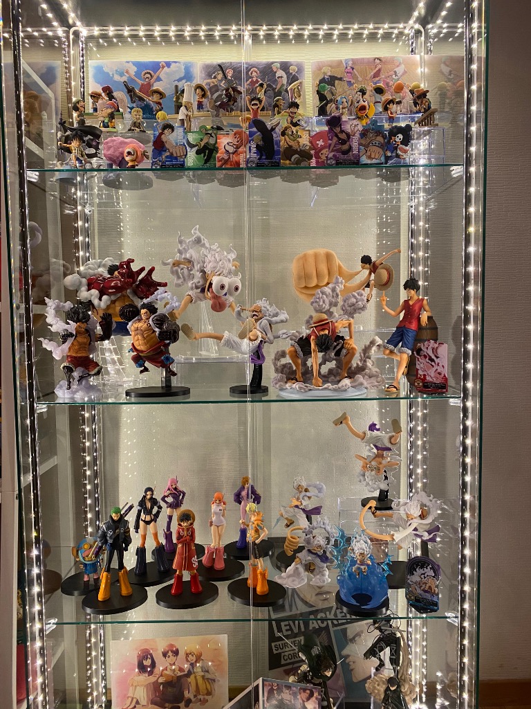 不二貿易（Fuji Boeki） コレクションケース 大型 ガラス ディスプレイ