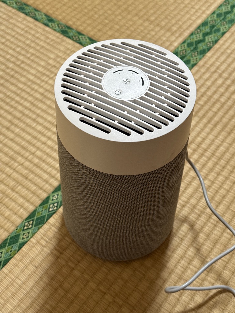 Blueair 空気清浄機 Blue Mini Max 111521 グレー 空気清浄機本体 - 最