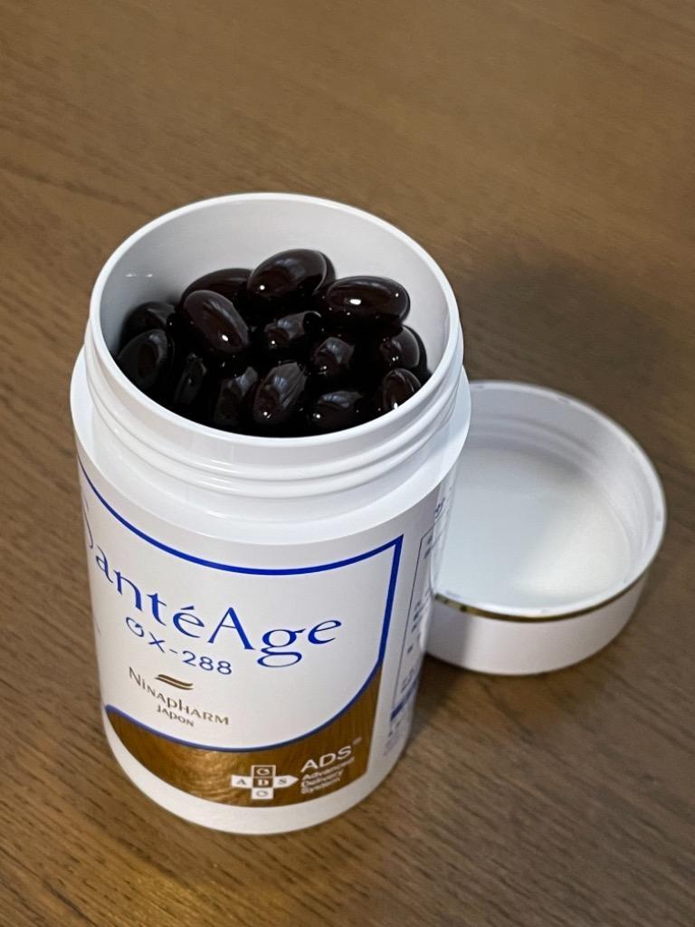 ニナファーム サンテアージュ OX-288 180粒入 2個セット : BRハウス