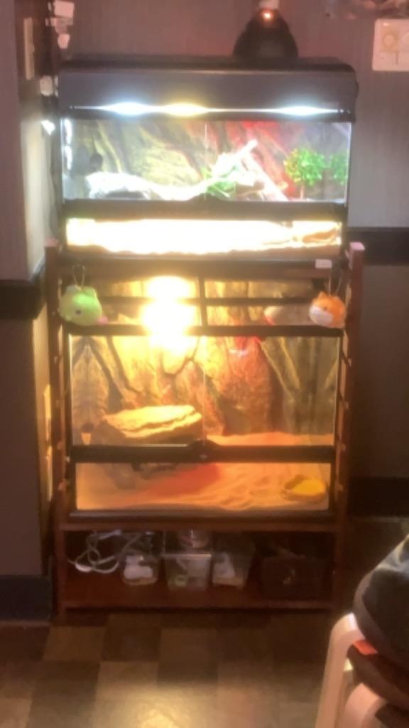 GEX（ジェックス） 爬虫類ケージ エキゾテラ グラステラリウム