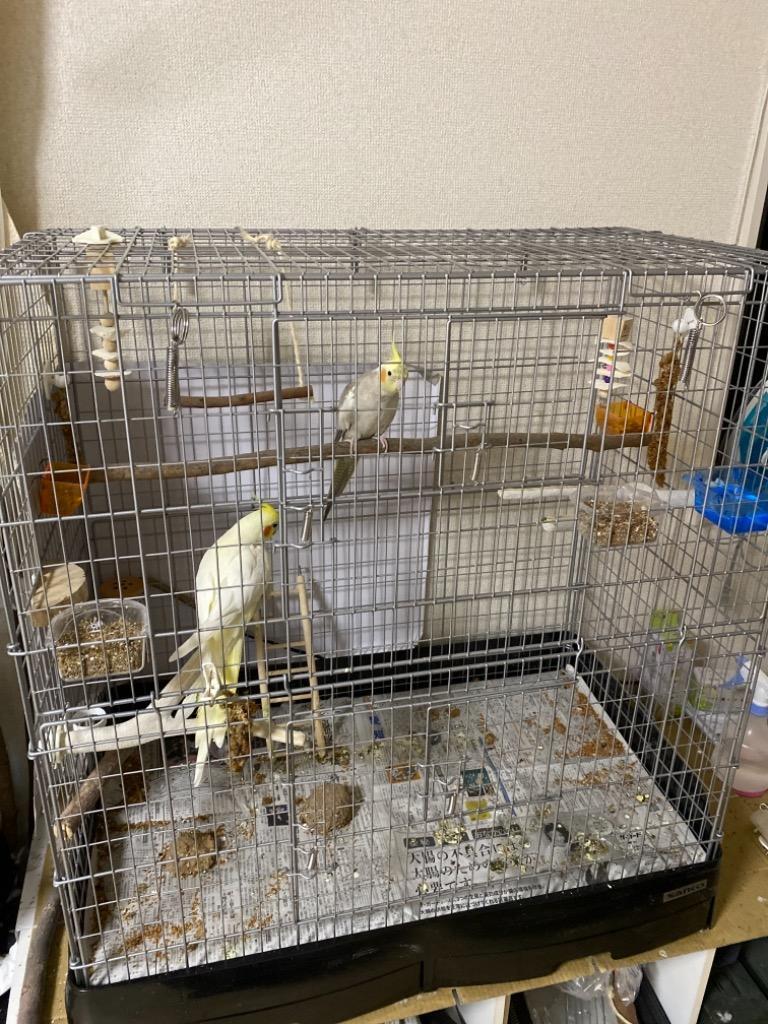 イージーホーム 三晃商会 イージーホーム 80 ハイ（81×50．5