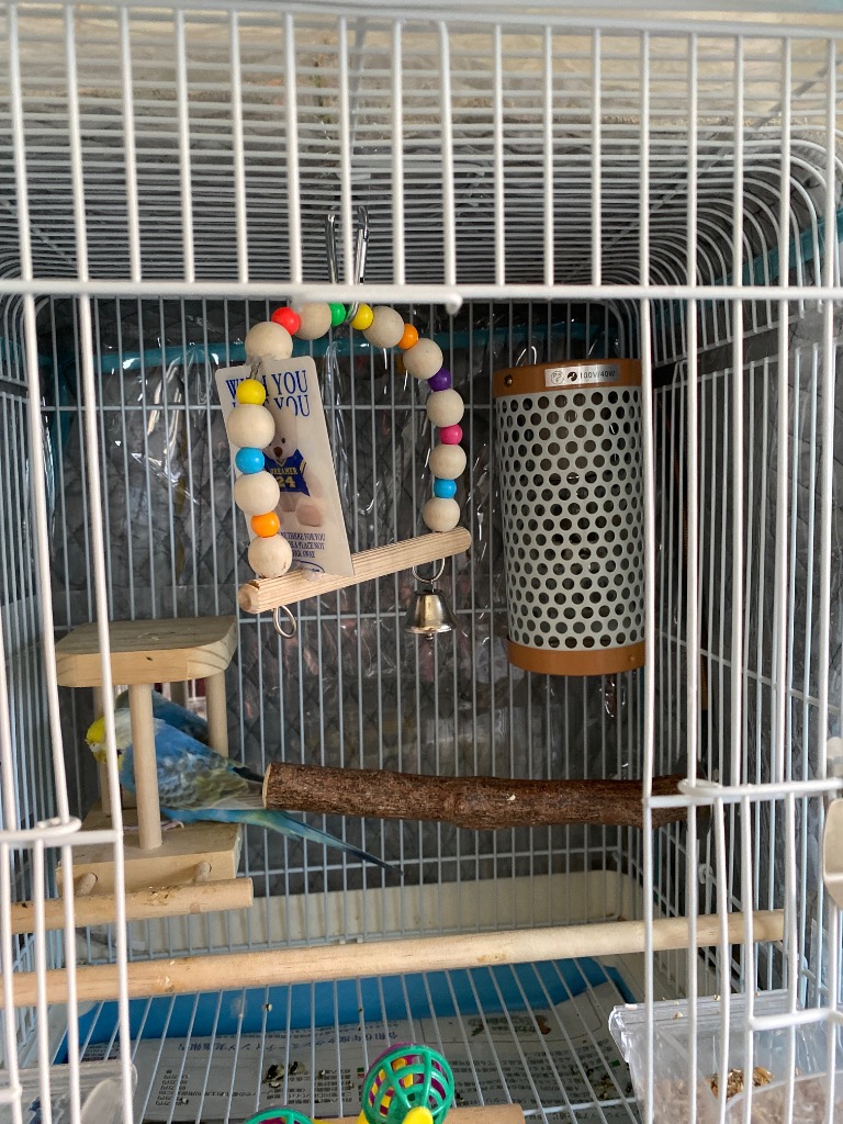 マルカン 保温球＆サーモセット 保温電球 40W カバー付き＋ミニマル