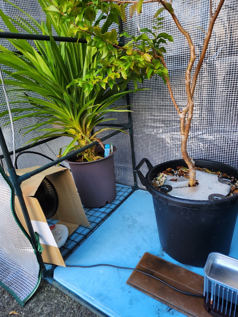 家庭温室用ウイングヒーター W-2000 ※サーモスタット付 : 鋏屋 - 通販