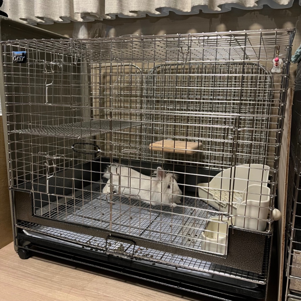 カワイ コンフォート80 STグレード うさぎ ケージ 川井 KAWAI : うさぎ