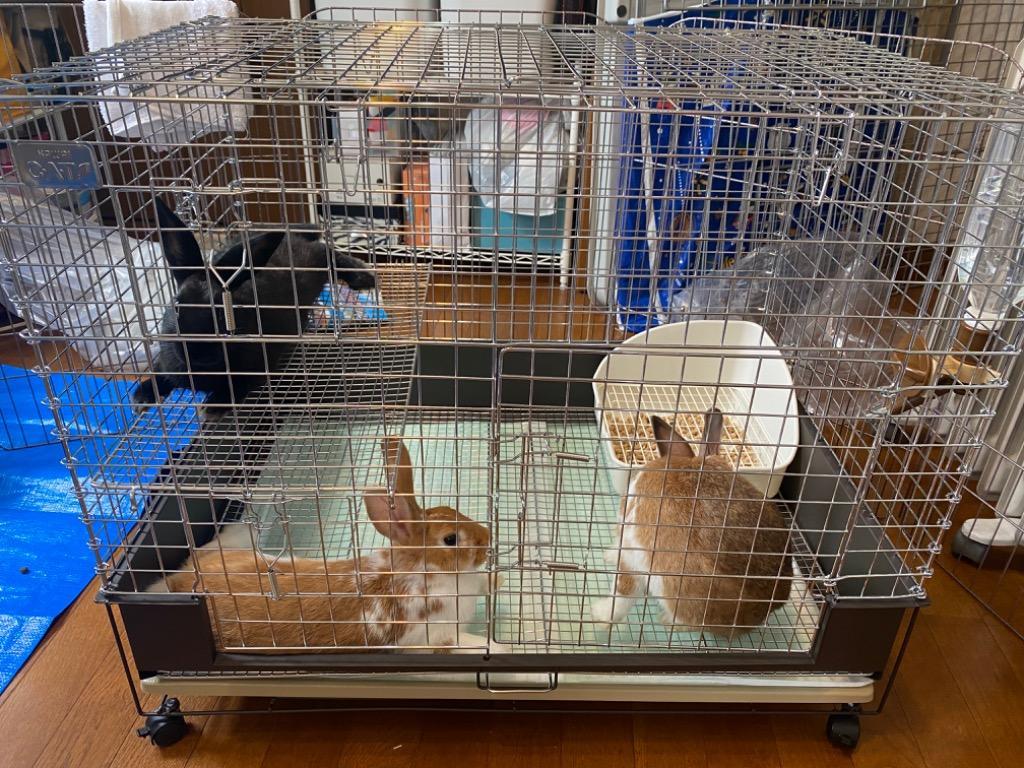 カワイ コンフォート80 STグレード うさぎ ケージ 川井 KAWAI : うさぎ