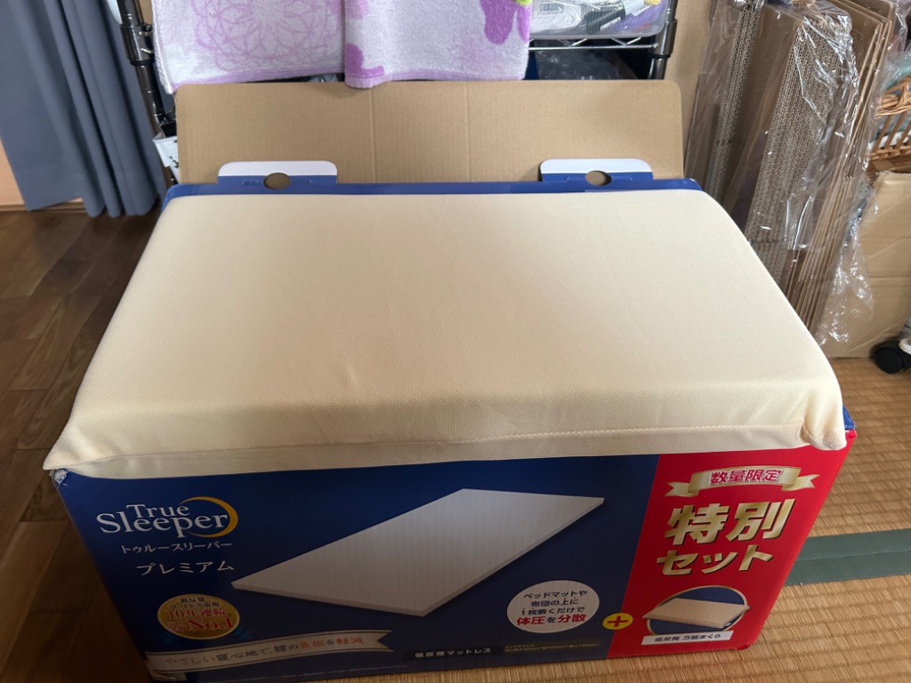 トゥルースリーパー（True Sleeper） ☆今だけ掛け布団（シングル