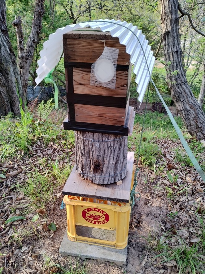 待ち箱ルアー(単品) : 週末養蜂家ショップ - 通販 - Yahoo!ショッピング