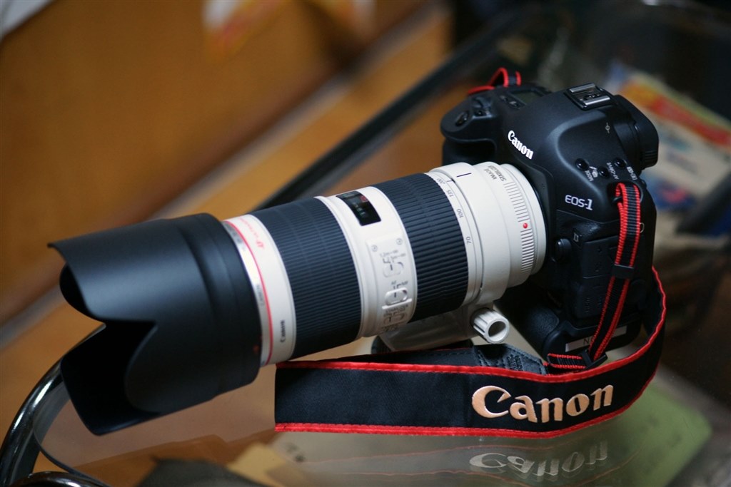 最高のコンビです。』 CANON EF70-200mm F2.8L IS II USM 1965さんの