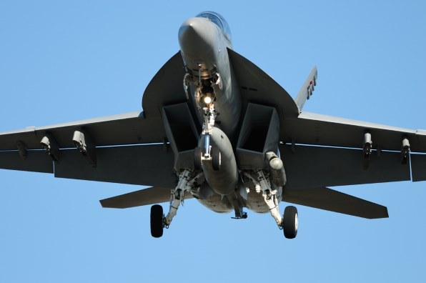 ニコン AI AF-S Nikkor 300mm f/4D IF-ED [ライトグレー] レビュー評価