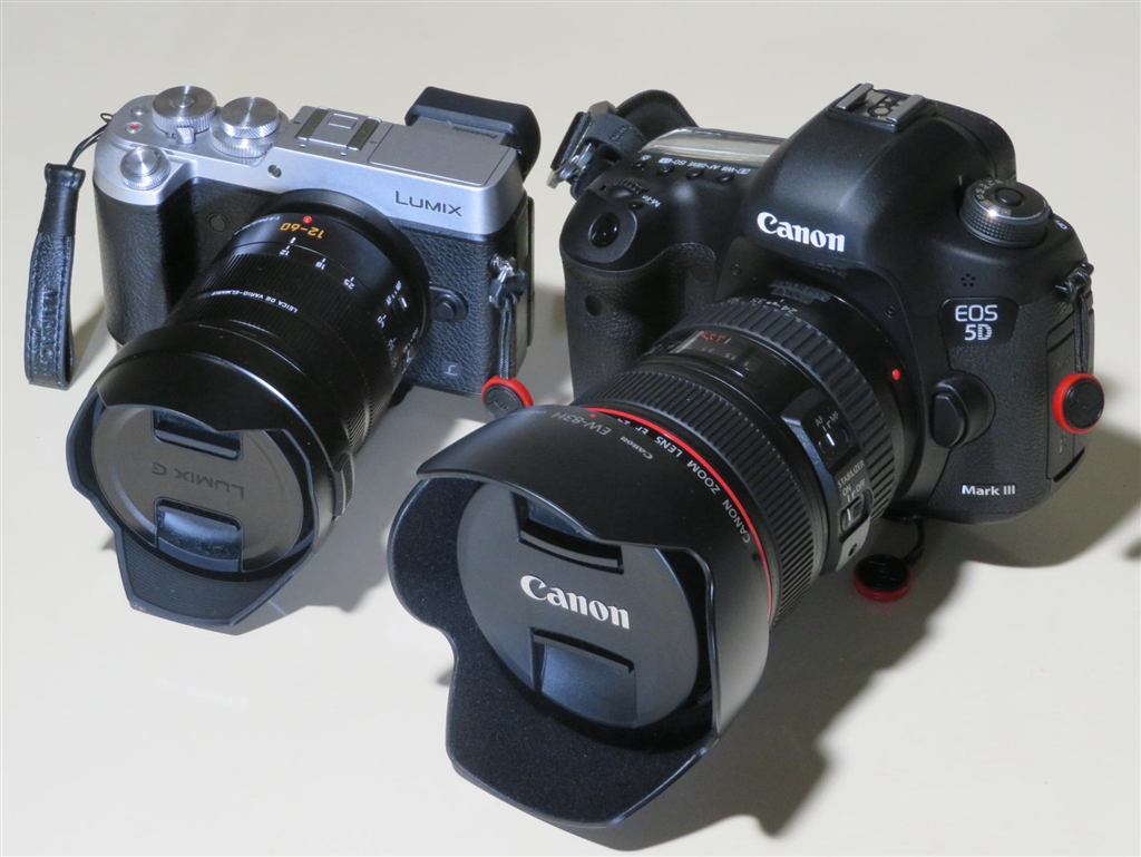 価格.com - 『大人と子供みたい（笑）』パナソニック LEICA DG VARIO