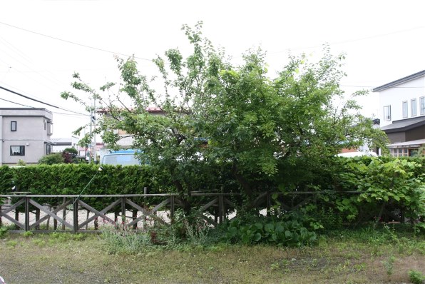 CANON EF20-35mm F3.5-4.5 USM レビュー評価・評判 - 価格.com