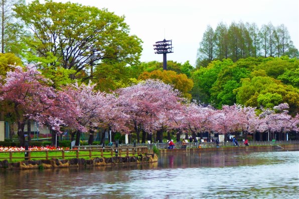 パナソニック LUMIX DMC-TZ60で撮影された写真 (レビュー) - 価格.com