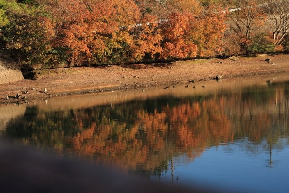 TAMRON SP AF 17-50mm F/2.8 XR Di II LD Aspherical [IF] (Model A16