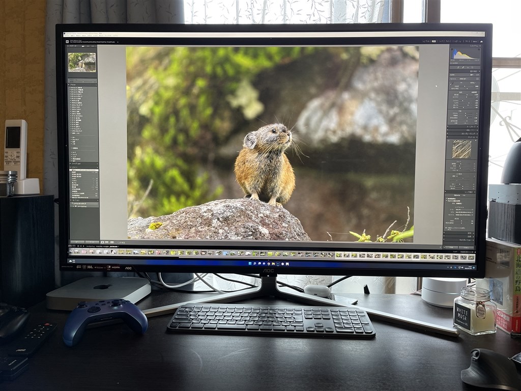 HDR環境のローカルディミングにクセあり』 AOC G4309VX/D/11 [42.5