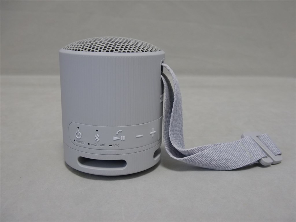 繊細さと重低音を兼ね備えたコンパクトモデル』 SONY SRS-XB100 (HC