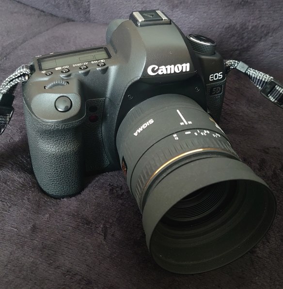 シグマ MACRO 50mmF2.8 EX DG (ｷﾔﾉﾝ AF)投稿画像・動画 - 価格.com