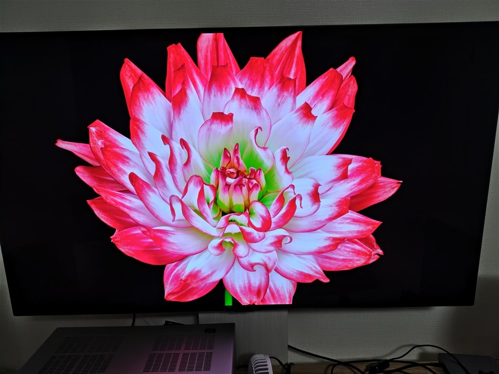 コスパ最強の有機ELテレビ』 LGエレクトロニクス OLED48C3PJA [48