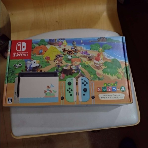 任天堂 Nintendo Switch あつまれ どうぶつの森セット HAD-S-KEAGC