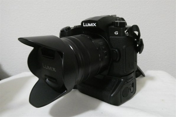 パナソニック LUMIX DC-TZ90-K [ブラック]で撮影された写真 (レビュー
